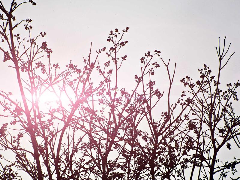 sudoku hidato screenshot 1