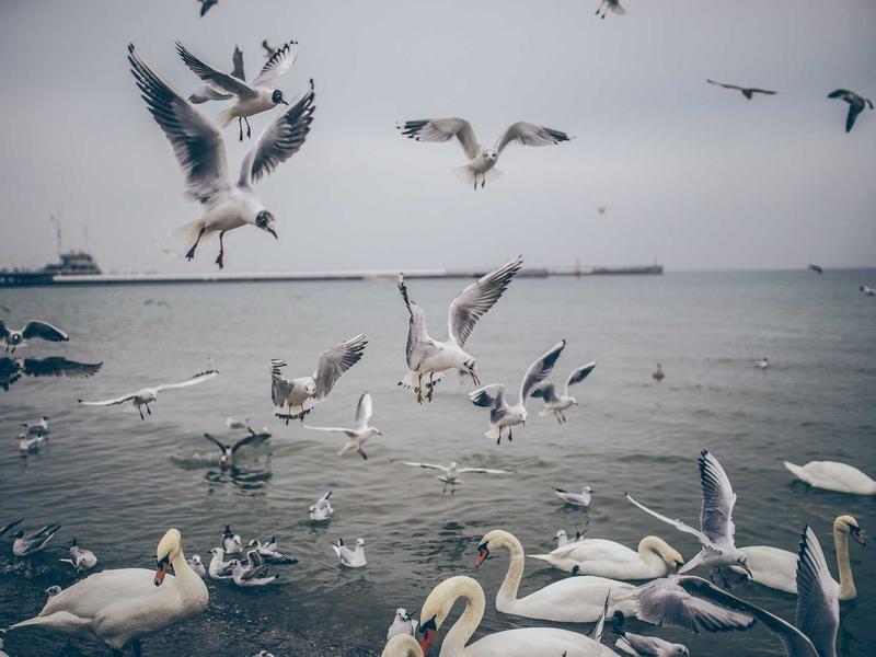 sudoku hidato screenshot 2